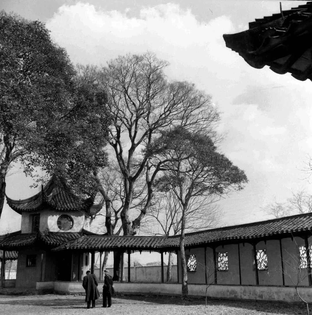 作为新中国第一代女摄影师22 拷贝.jpg