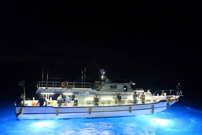 【澎湖夜釣小管推薦】夜釣小管技巧、小管季節時間、看煙火等好玩
