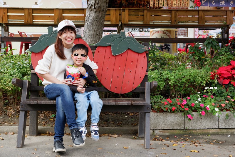 【苗栗】大湖酒莊＆草莓文化館：冰淇淋泡芙必買！免門票採草莓吃