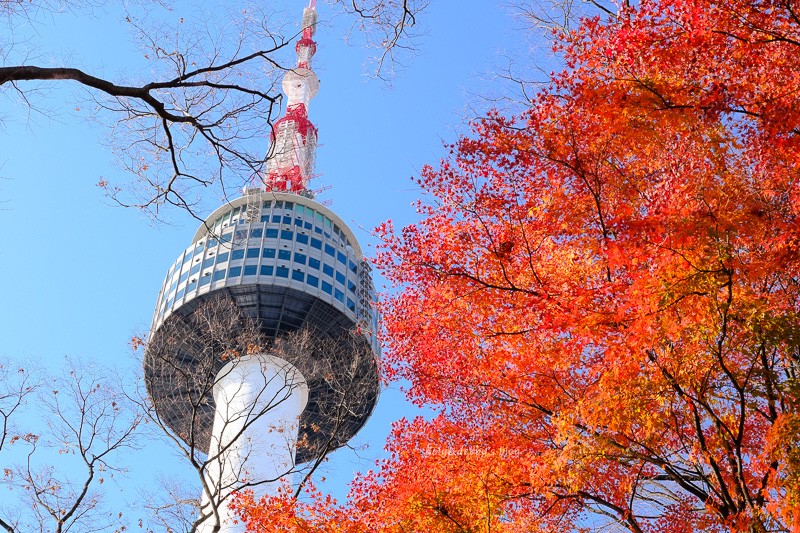 【2025首爾塔攻略】超浪漫韓劇夜景!愛情鎖、南山纜車&交通門票彙整 【2025首爾塔攻略】超浪漫韓劇夜景!愛情鎖、南山纜車&交通門票彙整