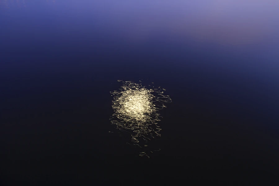 月相：远方的来信 tif.jpg