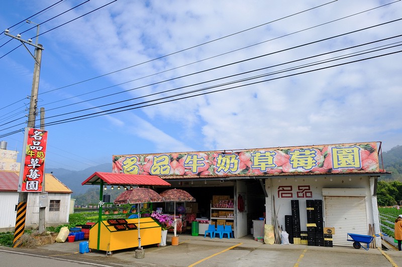 【2024苗栗大湖草莓季推薦】7家超人氣大湖採草莓草莓園農場