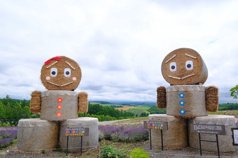 【北海道】四季彩之丘：彩虹般的花田絕色美景！美瑛必去景點超驚