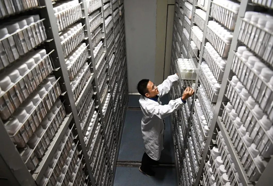 文字文稿15985 拷贝.jpg