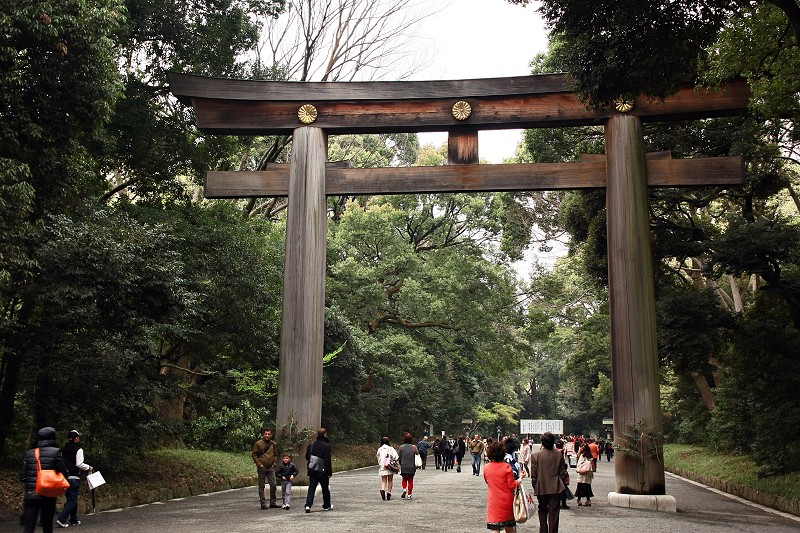 【東京】明治神宮：鳥居御守景點地圖、交通美食＆附近景點一日遊