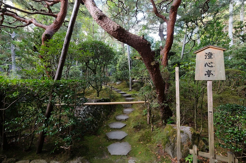 【京都】平安神宮：紀念建都千年而建！神苑櫻花夜櫻點燈＆楓葉必