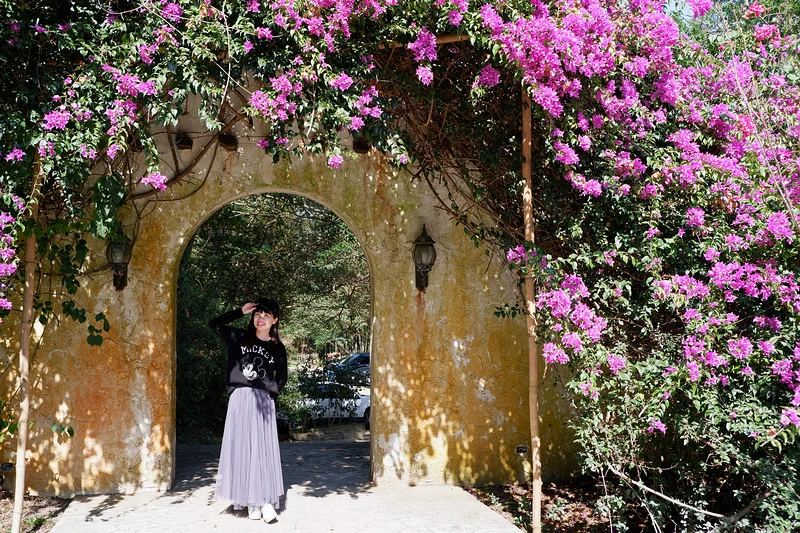 【苗栗三義】山那邊綠葉方舟：世外桃源森林莊園！菜單門票景觀餐