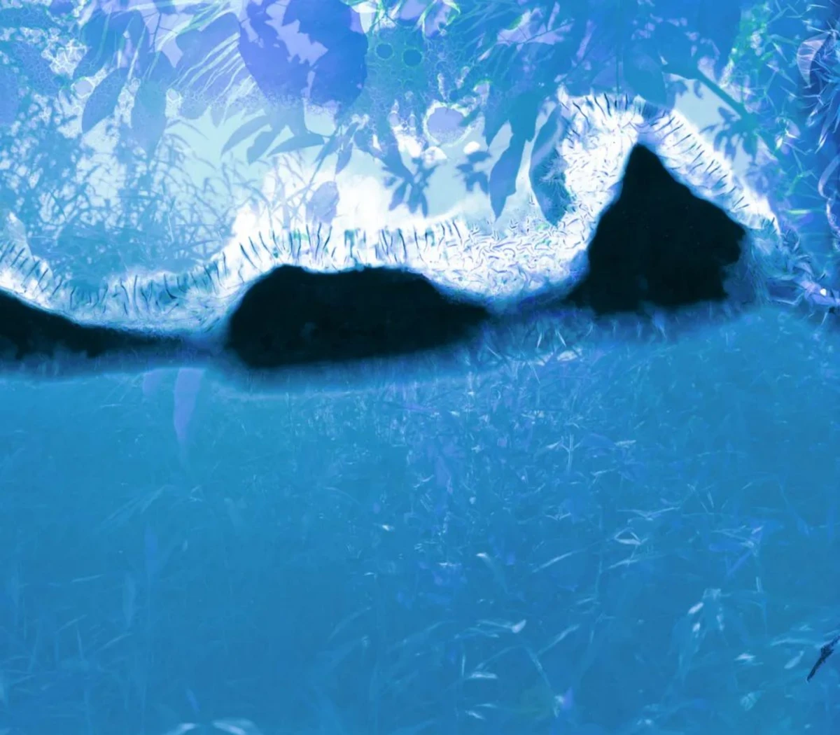 20231031_1698740489401562.jpg 10月30日4483 拷贝.jpg