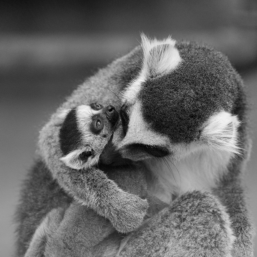 20250508_1746687300785083.jpg 微信图片_20250508144642.jpg