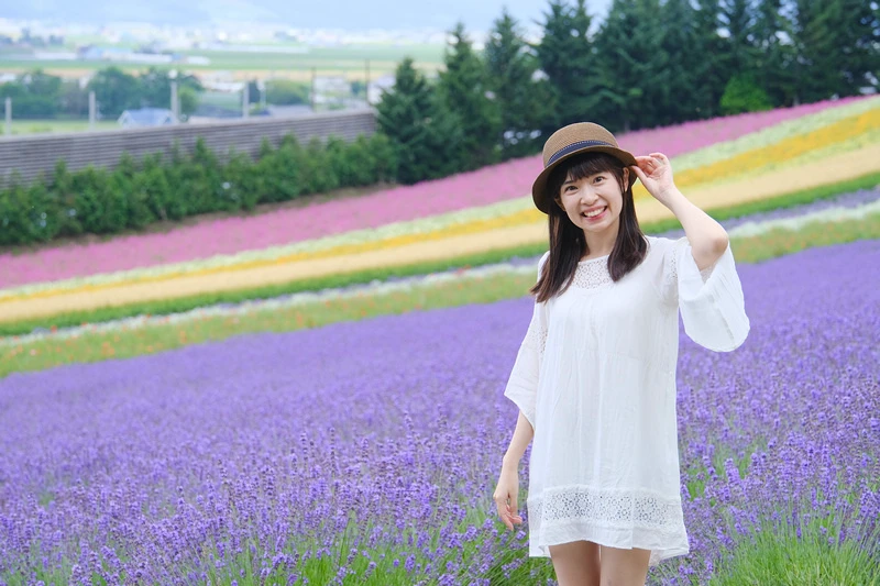 【北海道】富田農場：薰衣草花季美到爆炸！富良野花田最強景點狂
