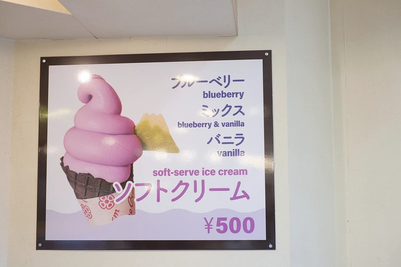 【河口湖】大石公園：巨無霸富士山視野美翻天！薰衣草、波波草花