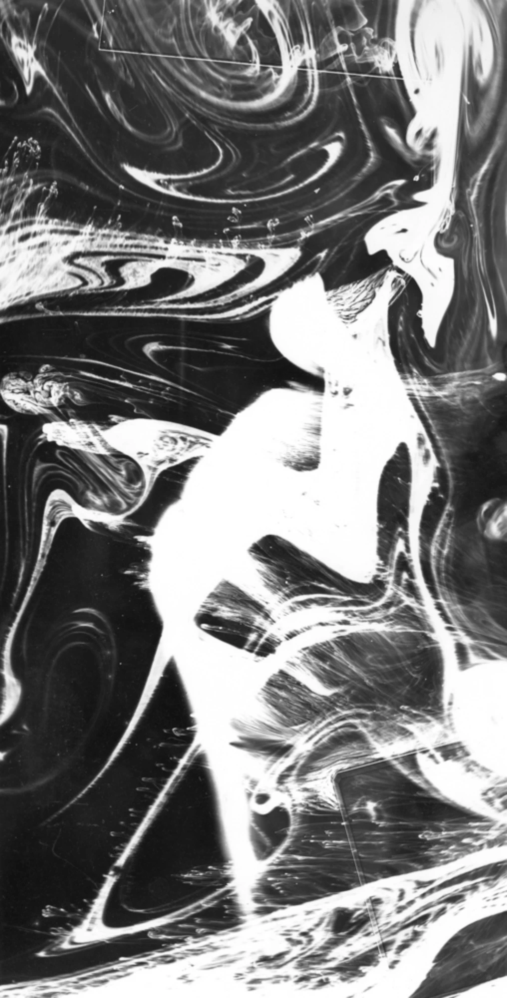 第二届泉州1316 拷贝.jpg