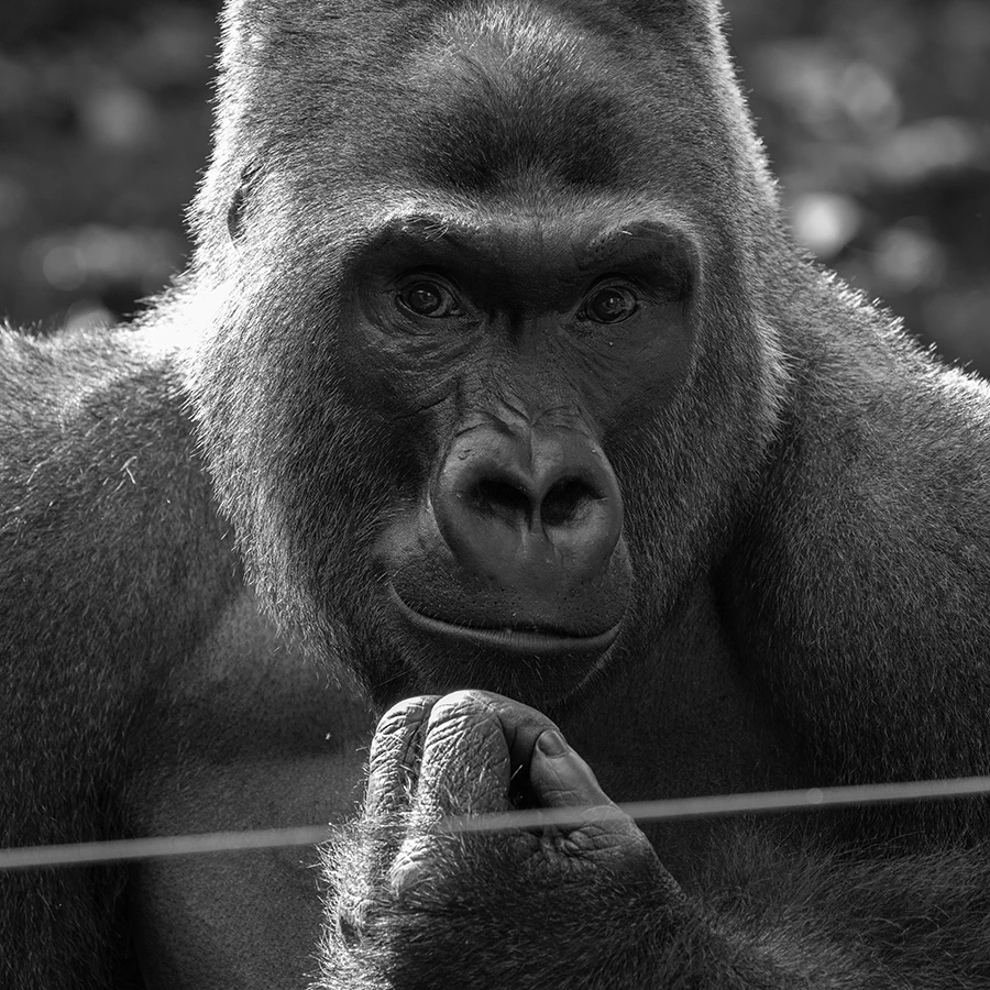 20250508_1746687338599453.jpg 微信图片_20250508144709.jpg