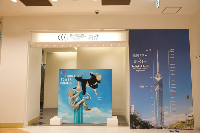 【福岡塔攻略】夜景100選認證！5大必看重點、門票交通＆附近景點彙整