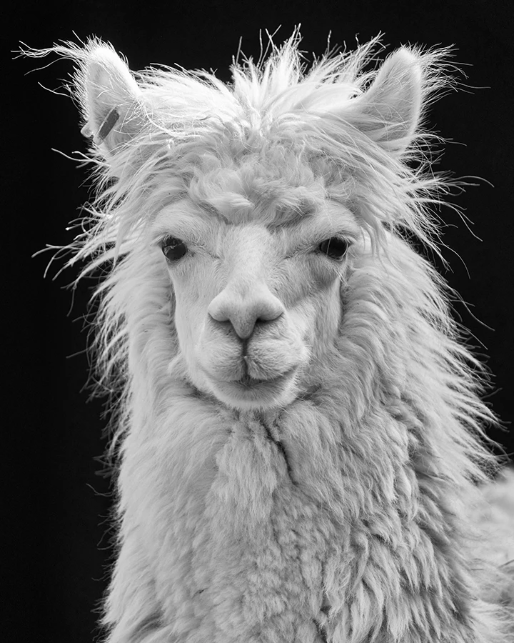 20250508_1746687322799863.jpg 微信图片_20250508144728.jpg