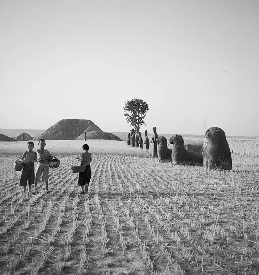 摘要3941 拷贝.jpg