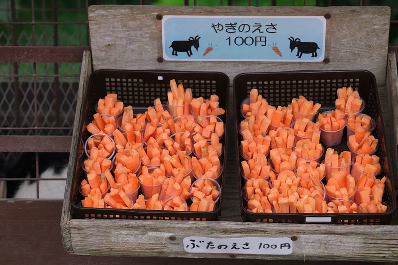 【沖繩】Bios之丘生態農場：遛山羊、湖中遊船、水牛車等親子