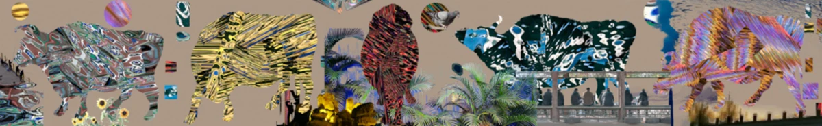 第二届泉州1156 拷贝.jpg