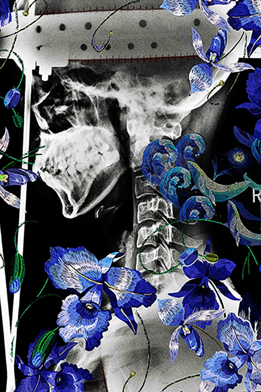 第二届泉州1300 拷贝.jpg