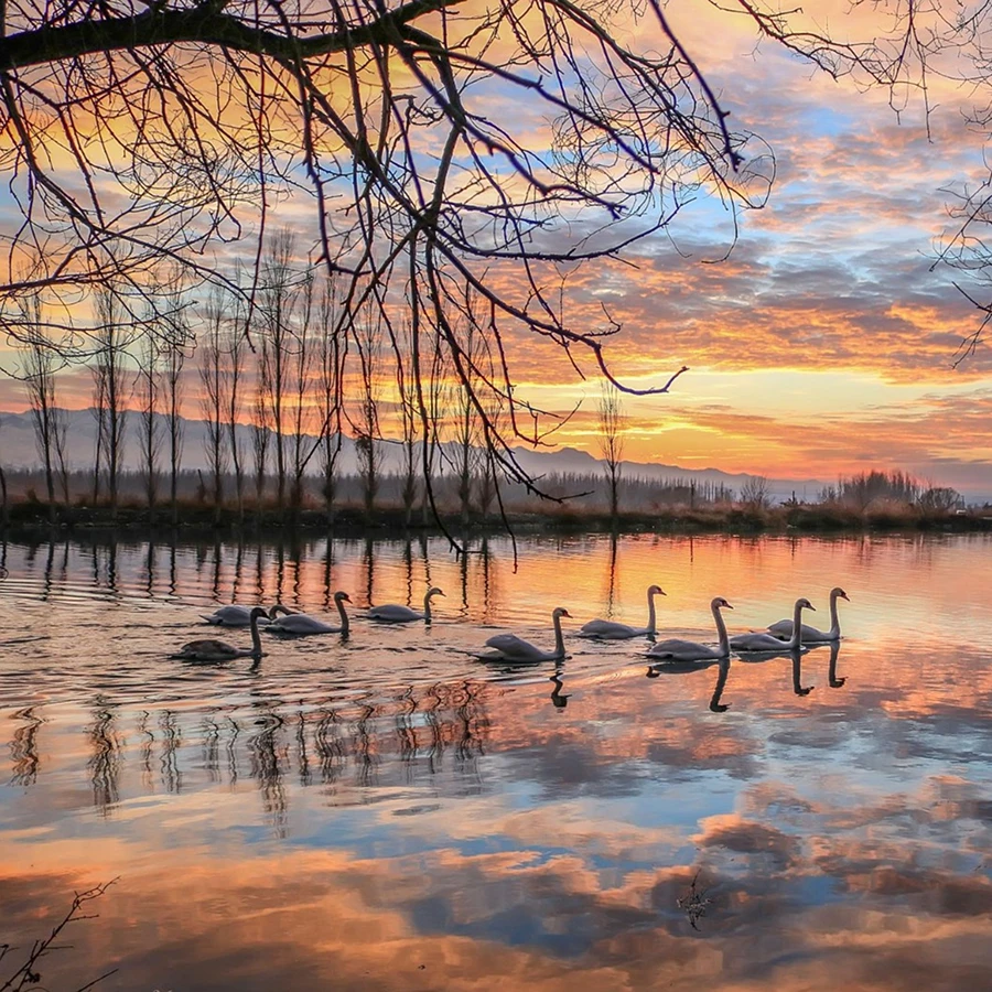 20231225_1703494960511692.jpg 1634.jpg