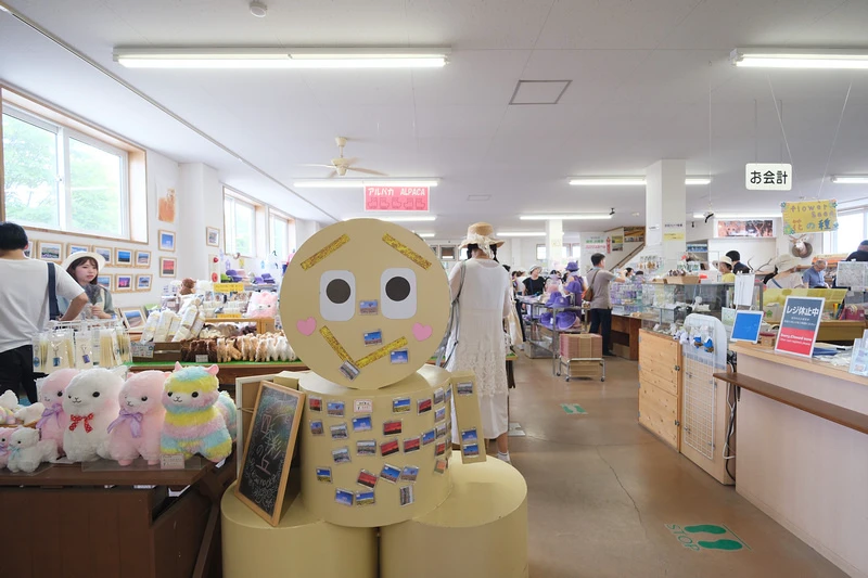 【北海道】四季彩之丘：彩虹般的花田絕色美景！美瑛必去景點超驚