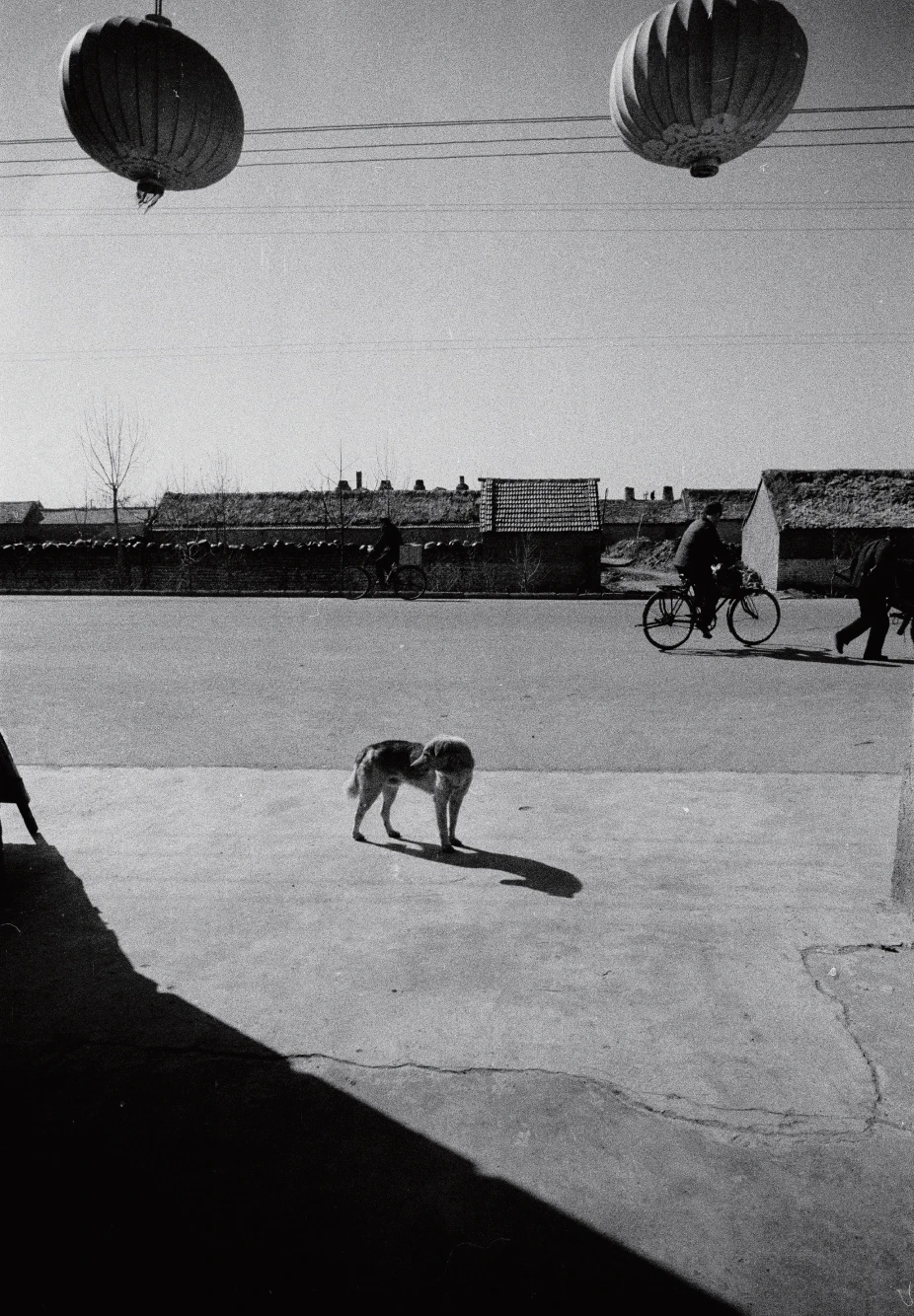 QQ20250326-161608 拷贝.jpg