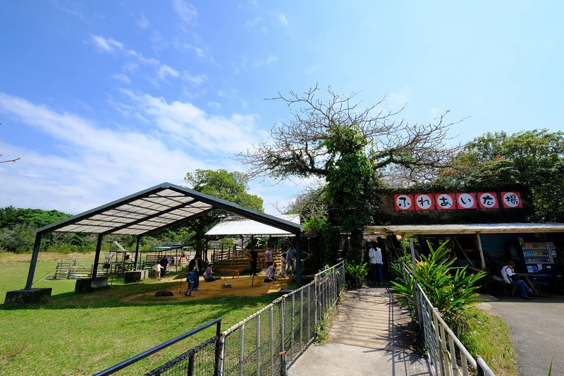 【沖繩】名護自然動植物公園：零距離接觸動物！鐵道火車和飛禽表