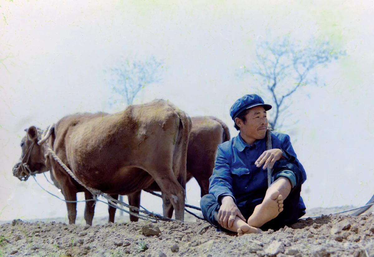 QQ20250326-161430 拷贝.jpg