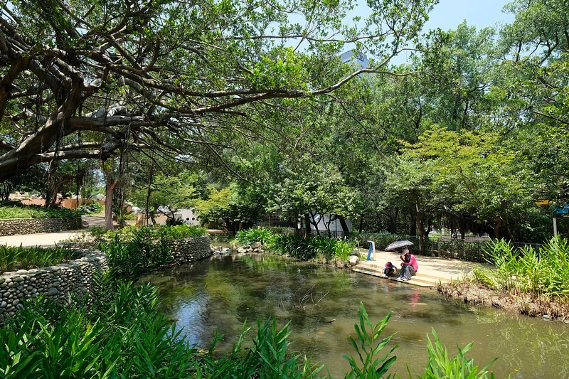 【新竹市立動物園】超美文青風動物園！門票交通美食＆附近景點一