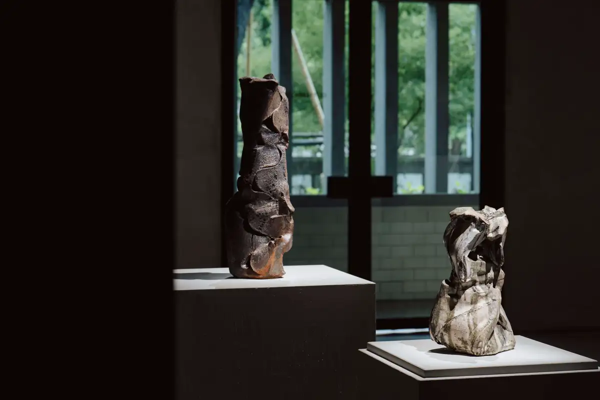 道川省三的創作靈感源於大自然地形、生態、季節、植被，乃至個體的生命形態和底層紋理，理解生命的無常並轉換新生。