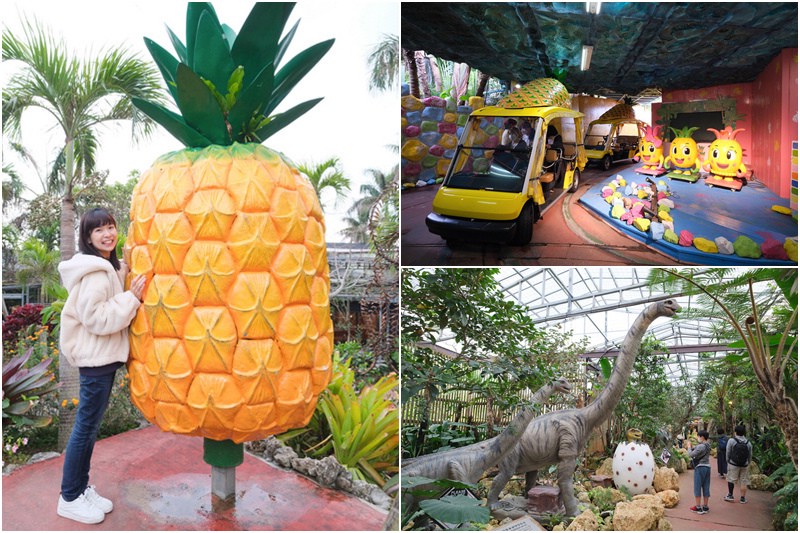 名護鳳梨園 名護鳳梨園