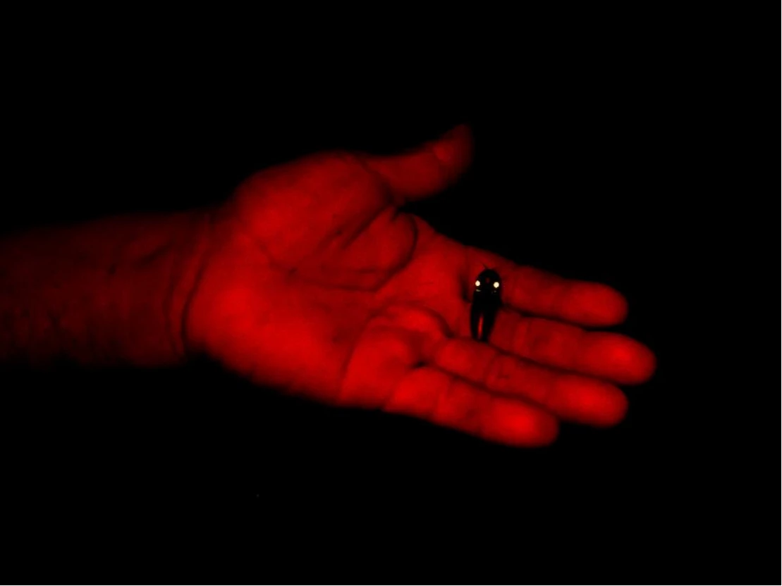 [中英] 新闻稿_2025 集美·阿尔勒国际摄影季 8449 拷贝.jpg