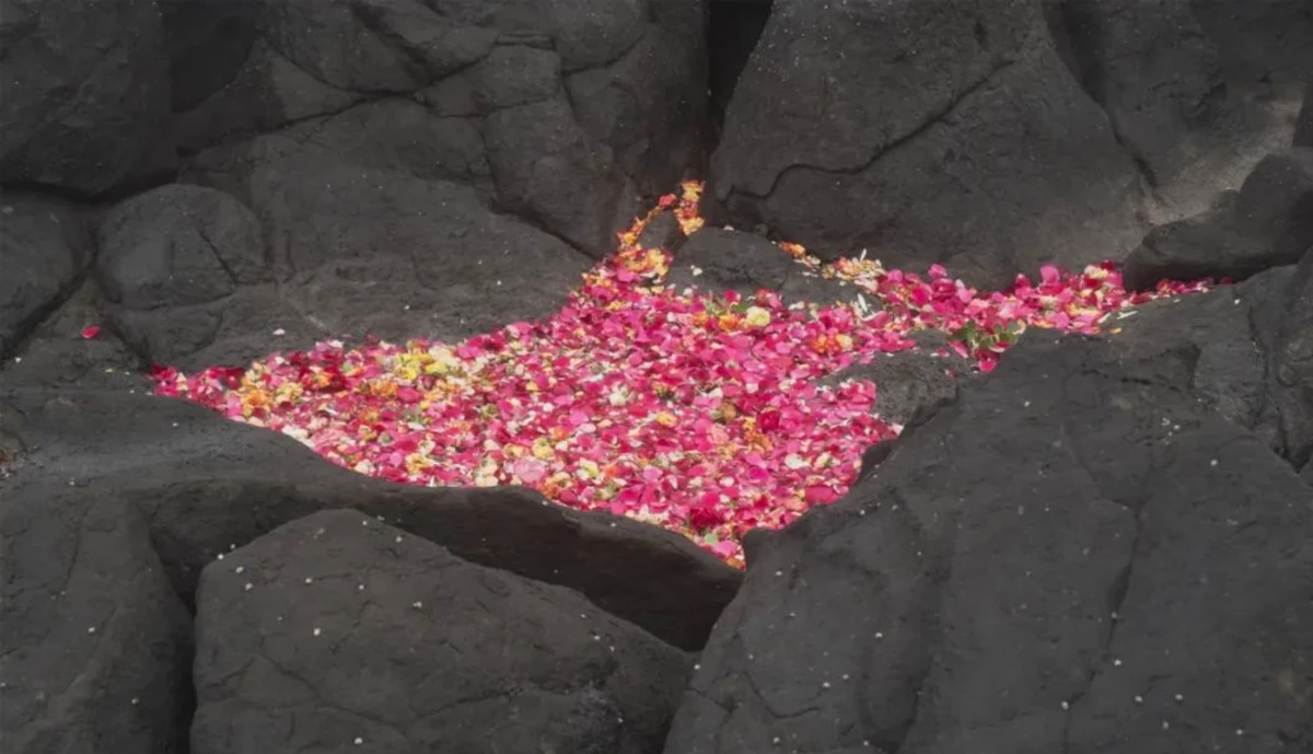 20231031_1698741317593395.jpg 10月30日6580 拷贝.jpg