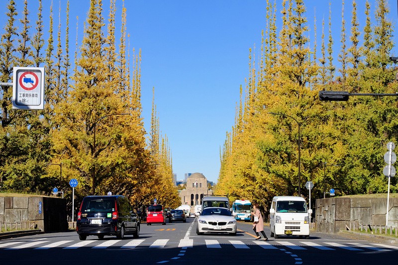 【東京】明治神宮外苑銀杏祭：爆炸美銀杏大道！季節時間、交通美