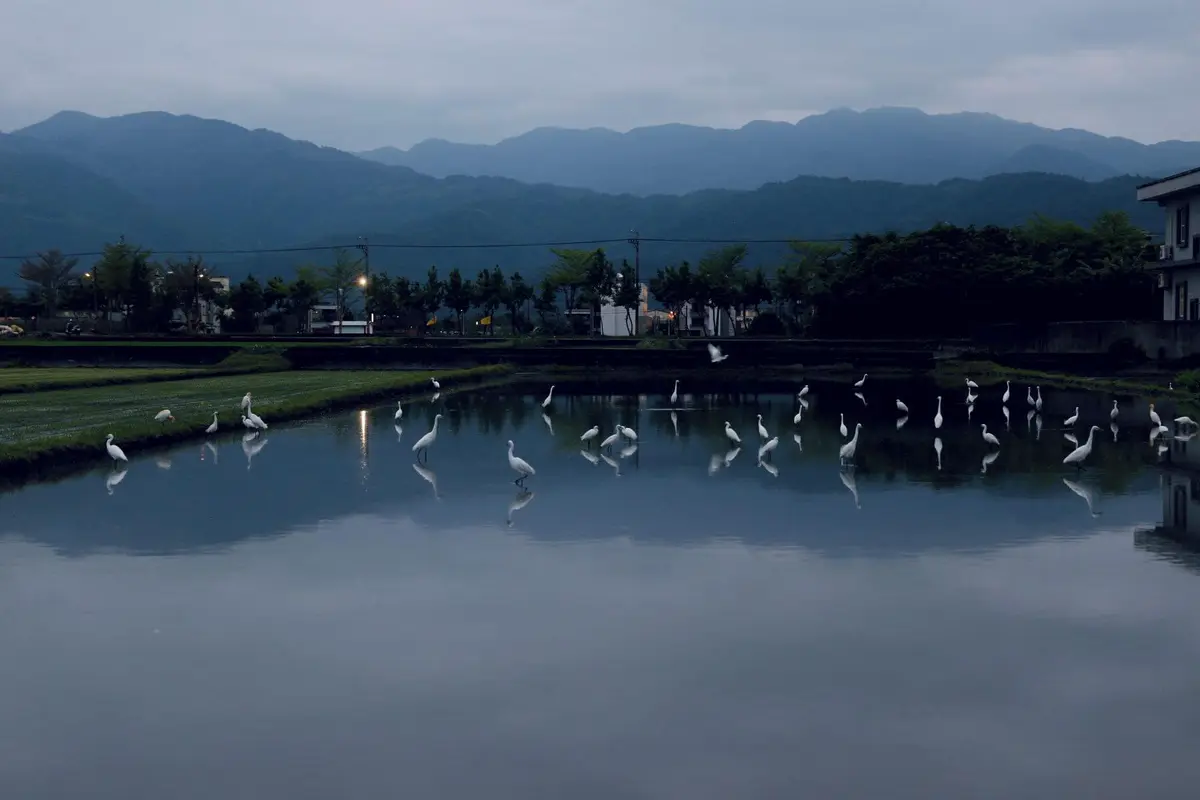 宜蘭，每年平均會有兩百天下雨的日子。世世代代，水流經土地，長伴至宜蘭員山居民的生命中。