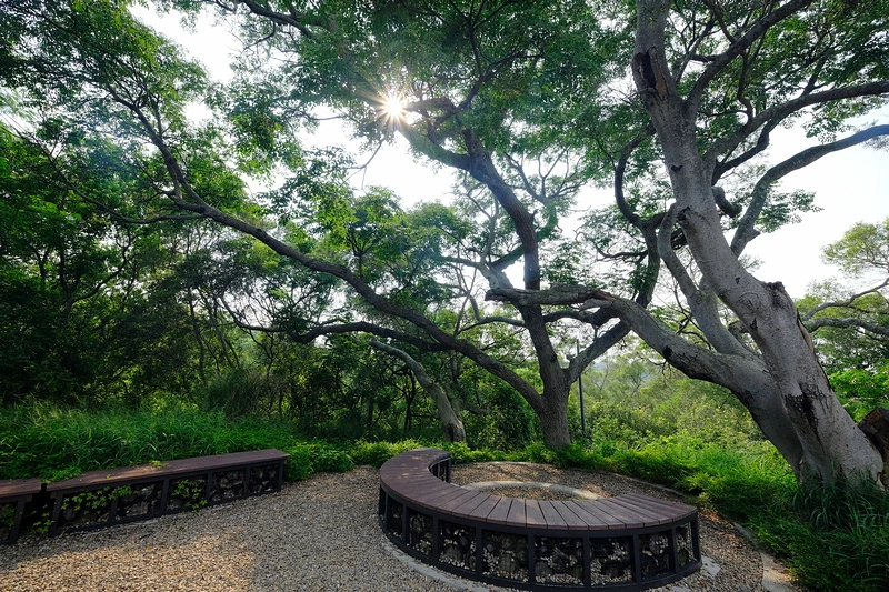 【新竹】青青草原：54公尺長溜滑梯、五大草原、健行步道，免門