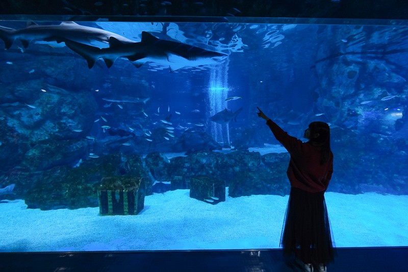 【韓國首爾】星空圖書館Coex Mall：巨無霸書架超吸睛！三成附近美食景點