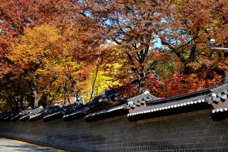 【首爾】德壽宮石牆路：韓國公認最美小路賞楓必去！門票＆免費韓