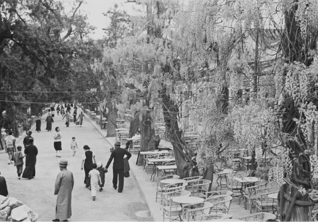 摘要678 拷贝.jpg