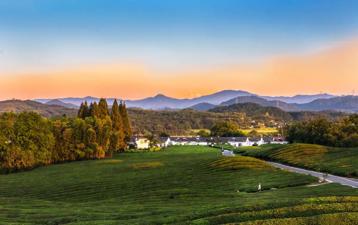 20230302_1677746411735217.jpg 图片9.jpg