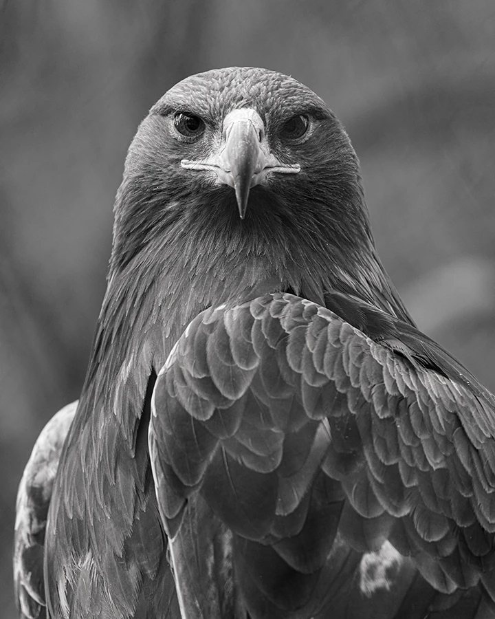 20250508_1746687309866345.jpg 微信图片_20250508144750.jpg