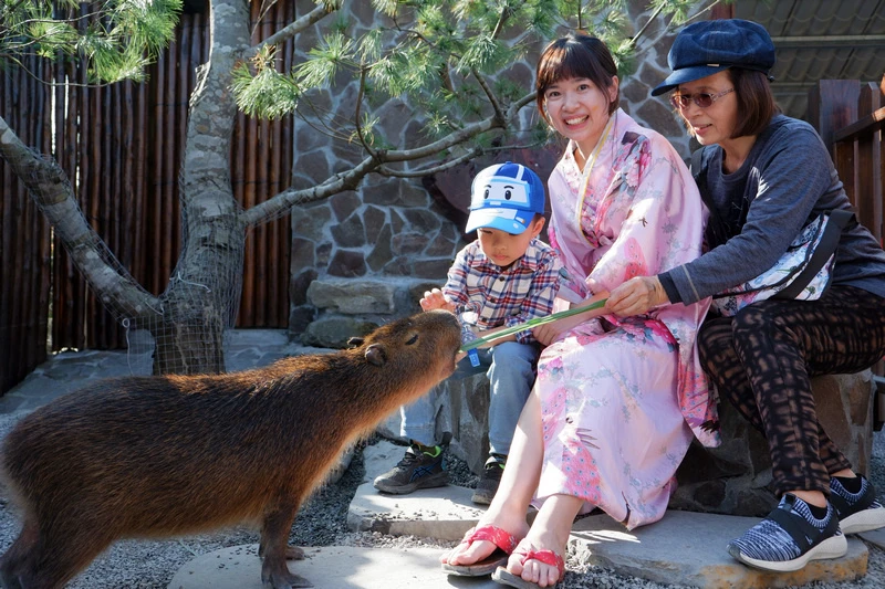 【宜蘭】張美阿嬤農場：餵水豚君、梅花鹿，還能穿和服！預約門票
