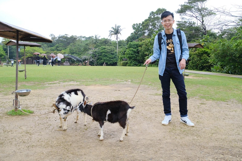 【沖繩】Bios之丘生態農場：遛山羊、湖中遊船、水牛車等親子