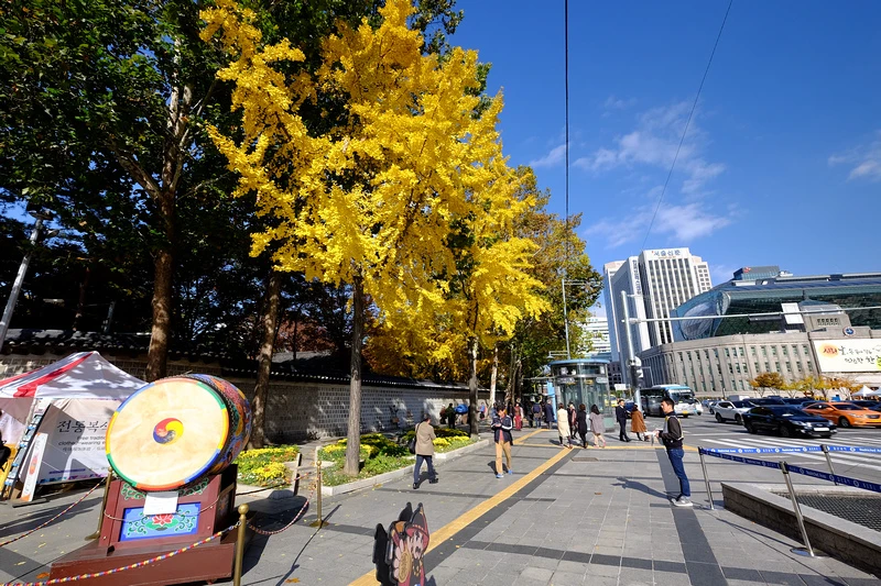 【首爾】德壽宮石牆路：韓國公認最美小路賞楓必去！門票＆免費韓
