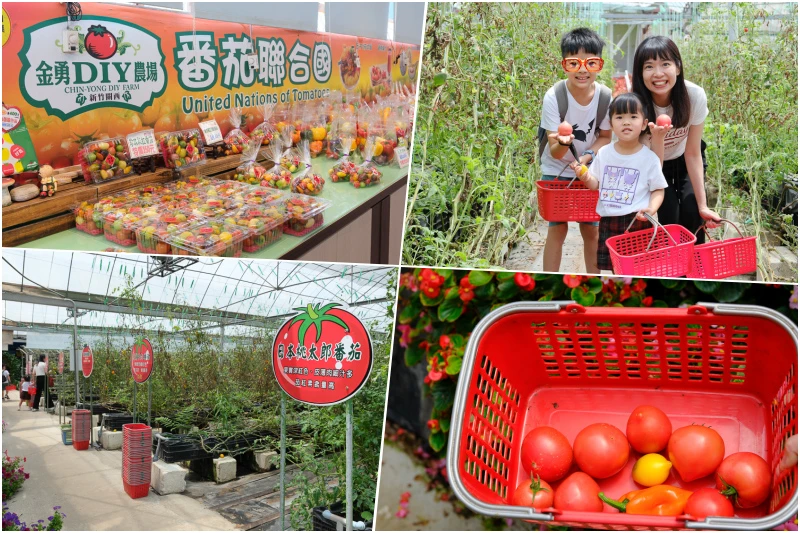 【新竹景點推薦】2025新竹一日遊這樣玩！最夯新竹旅遊好玩景點全攻略