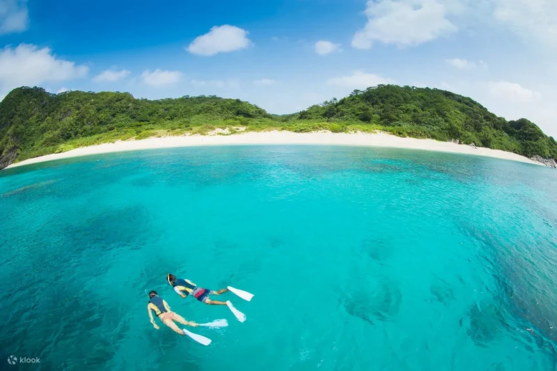 【沖繩浮潛潛水推薦】青之洞窟：海水清澈魚群超多，費用不貴兒童