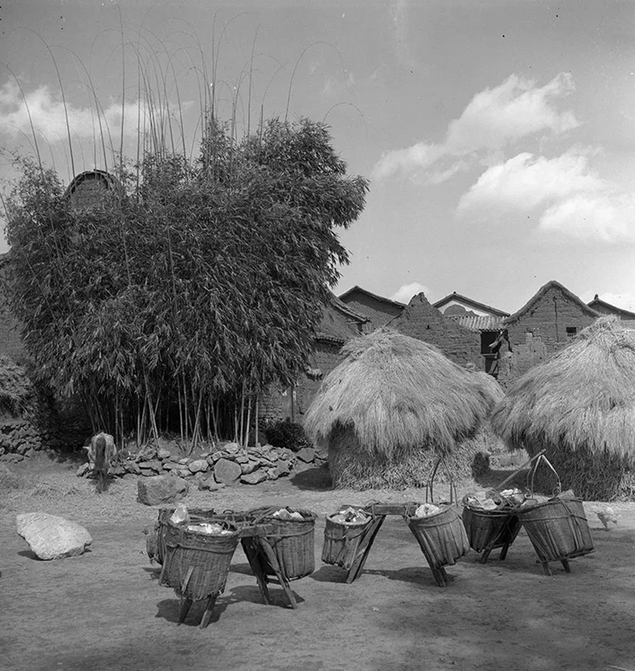 摘要7816 拷贝.jpg