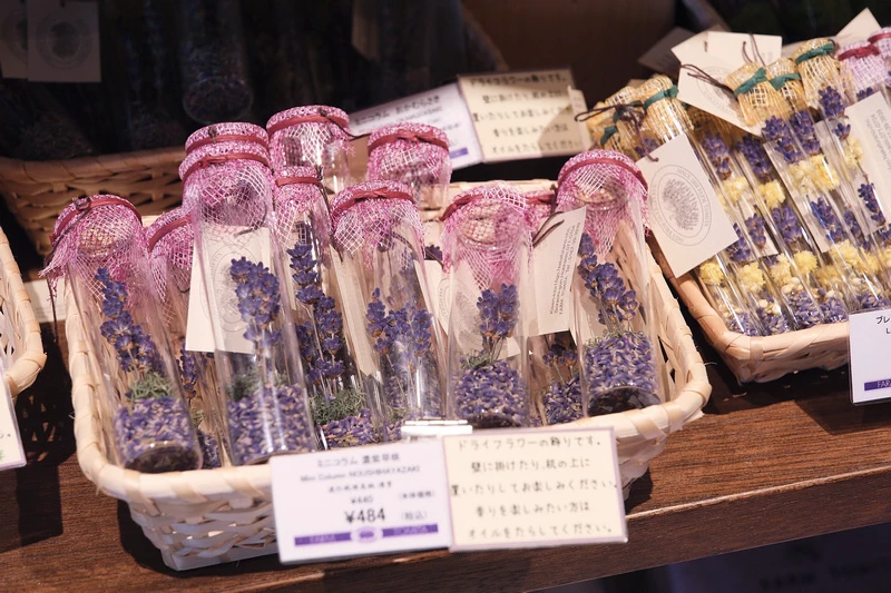 【北海道】富田農場：薰衣草花季美到爆炸！富良野花田最強景點狂