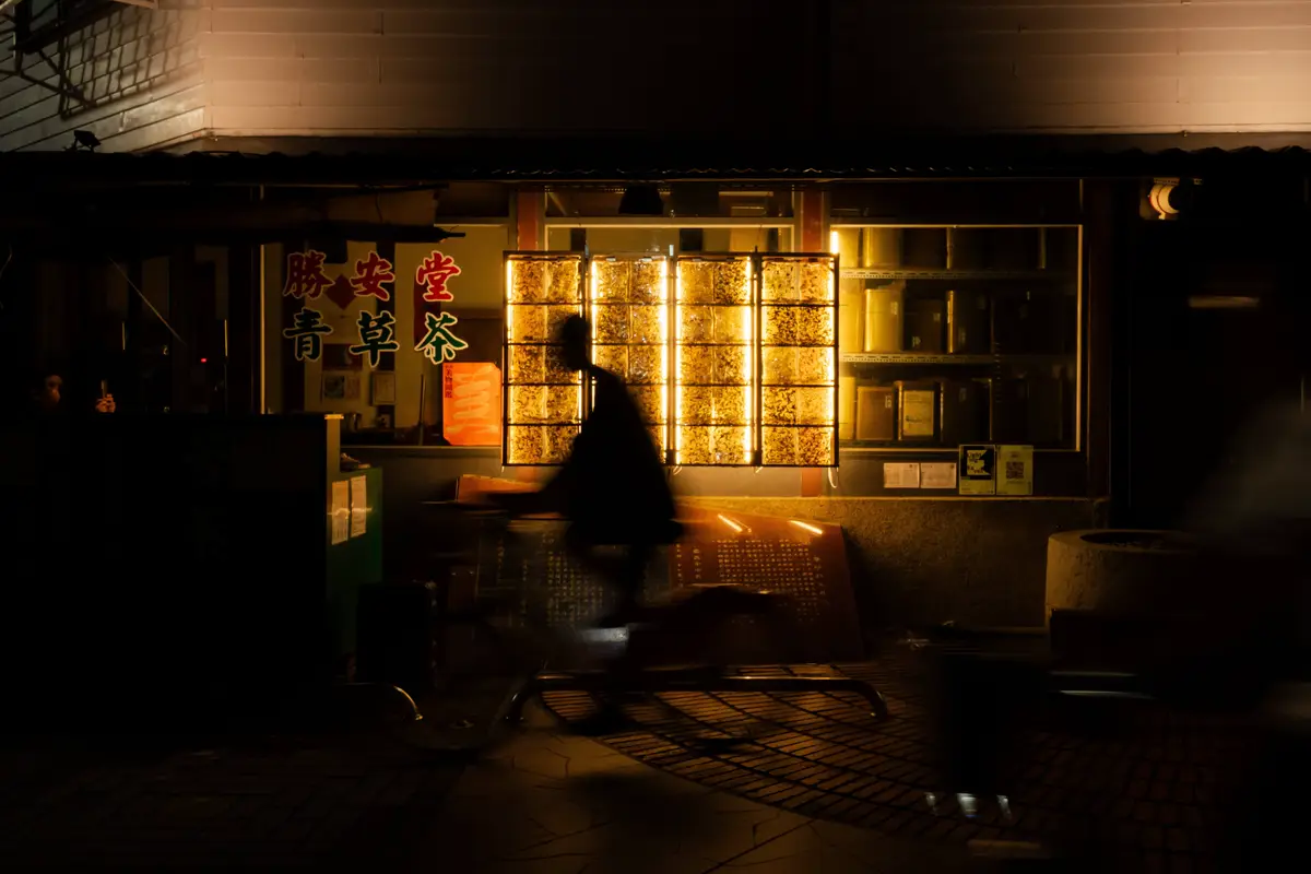 2024 森林夜遊由許家茵攜手勝安堂百草舖的漫遊活動。