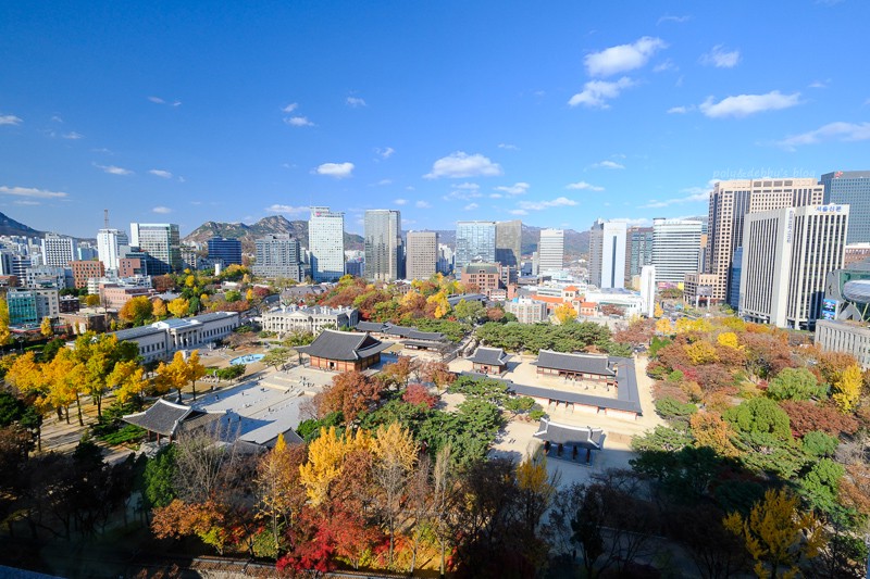 【2025韓國楓葉】Top10首爾楓葉銀杏景點＆韓國賞楓時間預測情報(火熱更新)